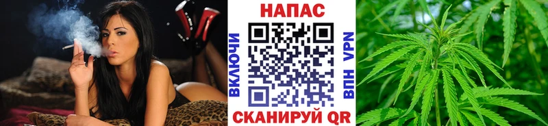 где найти   Эртиль  Каннабис ГИДРОПОН 
